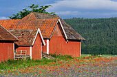Landschaft am Fusse des Ombergs, Vätternsee, Östergötland, Schweden