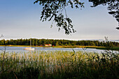 Landschaft am Vaenersee Torsoe Insel bei Mariestad, Vänernsee, Schweden