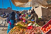 Tafilalet,  Morocco