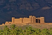 Kasbah Tamenougalt in the Draa Valley, Palmarie and bare rocks around the fortress, Morocco