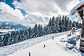 verschneite Winterlandschaft, Schneeschuhtour, Ofterschwanger Horn, Hörnerdörfer, Allgäu, Baden-Württemberg, Deutschland, Europa, Winter, Alpen