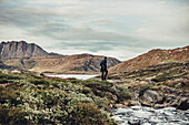 Hiker on a route through greenland, greenland, arctic.