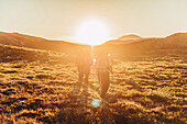 Hiker on a route through greenland, greenland, arctic.