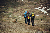 Hiker on a route through greenland, greenland, arctic.