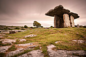 Megalith Poulnabrone-Dolmen, karst landscape The Burren, County Clare, Ireland, Europe
