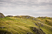 Schafe und Wanderer bei Steil Klippen Slieve League, Teelin, Grafschaft Donegal, Irland, Wild Atlantic Way, Europa