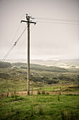 hölzener Strommast in grüner Landschaft, Beara Halbinsel, Grafschaft Cork, Irland, Wild Atlantic Way, Europa