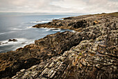 ragged coastline at Kilcatherine Point, Eyeries, Beara Peninsula, County Cork, Ireland, Wild Atlantic Way, Europe