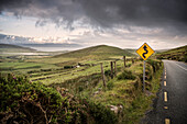 kurvenreiche Straße Verkehrsschild am Connor Pass, Dingle Halbinsel, Grafschaft Kerry, Irland, Wild Atlantic Way, Europa