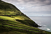 Slea Head Aussichtspunkt mit Blick zu Skellig Michael, Dingle Halbinsel, Slea Head Drive, Grafschaft Kerry, Irland, Wild Atlantic Way, Europa