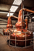 Brennblasen in Dingle Whisky Brennerei, Dingle Halbinsel, Slea Head Drive, Grafschaft Kerry, Irland, Wild Atlantic Way, Europa