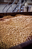 mash in Dingle Whiskey Distillery, Dingle Peninsula, Slea Head Drive, County Kerry, Ireland, Wild Atlantic Way, Europe