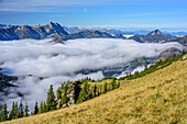 Blick auf Guffert, Zugspitze und Halserspitze, Nebel im Tal, von Hinteres Sonnwendjoch, Bayerische Alpen, Tirol, Österreich
