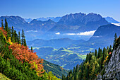 Herbstwald mit Kaisergebirge im Hintergrund, von Hinteres Sonnwendjoch, Bayerische Alpen, Tirol, Österreich
