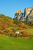 Bauernhöfe mit Rosszähne am Schlern im Hintergrund, Südtirol, Italien