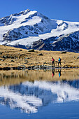 Man and woman hiking at mountain lake with Cevedale in background, valley of Martelltal, Ortler group, South Tyrol, Italy