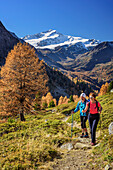 Man and woman hiking with Cevedale in background, valley of Martelltal, Ortler group, South Tyrol, Italy