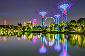 Illuminated SuperTrees in Garden of the Bay and Singapore flyer reflecting in lake, Marina Bay, Singapore