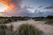 Sanddünen im Abendlicht bei Sturm, Nordsee, Nationalpark Wattenmeer, Schillig, Wangerland, Landkreis Friesland, Niedersachsen, Deutschland, Europa