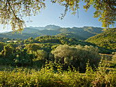 Countryside near Propriano, Corsica, France Corse du Sud