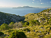 Blick vom Cap de Formantor zur Bucht von Alcudia, Mallorca, Balearen, Spanien