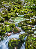 Lepe Jica, lepena valley, Triglav National Park, Slovenia