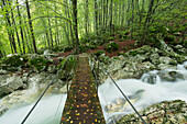 Brücke, Lepenjica, Lepena Tal, Triglav Nationalpark, Slowenien