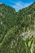 Ein mit Nadelwald bewachsener Berghang in Mayrhofen mit einer Herberge oben auf dem Berg, Mayrhofen, Zillertal, Tirol, Österreich