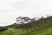 Schloss Kirchberg, Immenstaad, Lake Constance, Lake Constance district,  Baden-Württemberg, Germany