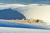 White sand dunes, White Sands National Monument, New Mexico, USA