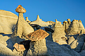 Rock towers with white sandstone, Bisti Badlands, De-Nah-Zin Wilderness Area, New Mexico, USA
