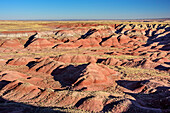 Rote Erosionslandschaft, Petrified Forest Nationalpark, Arizona, USA