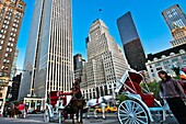 Horse carriage, next to Central Park, On background Apple store, Fifth Avenue, 59th street, Manhattan, New York, New York City, United States, USA.