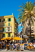 Cafe and restaurant terraces, Placa de la Llotja, Palma, Mallorca, Balearic islands, Spain.