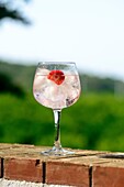 A glass cup with a gin and tonic cocktail with ice and strawberries, on a background of nature and mountains relax
