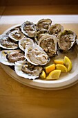 Plate of Oysters on the half shell.