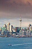 New Zealand, North Island, Auckland, skyline view from Devonport.