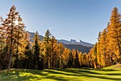 Sunny day in the Dolomites,Cortina d'Ampezzo,Belluno district,Veneto,Italy,Europe.