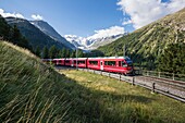 Bernina Red Train and Morteratsch glacier on the background. Engadin, Graubunden, Switzerland.