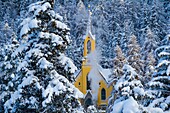 Trees with pristine snow and yellow church. St Moritz, Engadine, Switzerland.