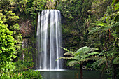 Millaa Millaa Wasserfall, Atherton Tablelands, Queensland, Australien