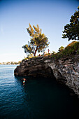 BERMUDA. Hamilton Parish. Cliff jumping, swimming off a point in Admiralty House Park in Hamilton.