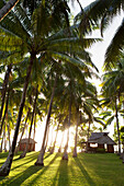 FRENCH POLYNESIA, Vahine Island. Bungalows, rooms and the grounds of the Vahine Private Island Resort.
