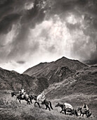 USA, Alaska, Cantwell, Horse Pack trip into the Jack River Valley at the base of the Alaska Range with Gunter Wamser and Sonja Endlweber