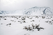 USA, California, Mammoth, a view of the mountains freshly covered in snow along I395 between Bishop and Mammoth