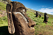 EASTER ISLAND, CHILE, Isla de Pascua, Rapa Nui, Rano Raraku is a volcanic crater on the lower slopes of Terevaka, it supplied nearly 95% of the island's known Moai sculptures and is still home to 397 Moai statues
