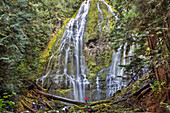 USA, Oregon, Oregon Cascades, Proxy Falls in the Wilamette National Forest in the early Fall, McKenzie Pass