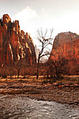 USA, Utah, Springdale, Zion National Park, Big Bend looking towards the Great White Throne, Virgin River