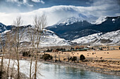 USA, Wyoming, Yellowstone National Park, a majestic ranch sits at the edge of the Yellowstone River outside the North Entrance of the park near Gardnier, Gallatain National Forest and Electric Peak in the distance