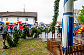 maypole, bavarian tradition, Bavaria, Germany, Europe